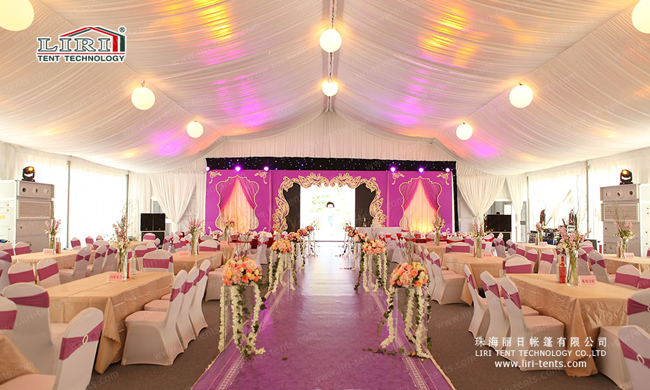 purple tents for sale